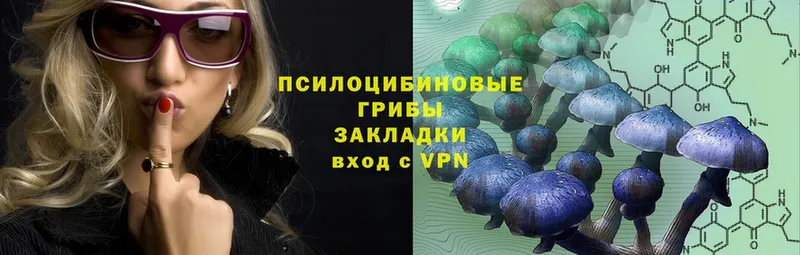 Галлюциногенные грибы Magic Shrooms  darknet формула  Гаврилов-Ям 